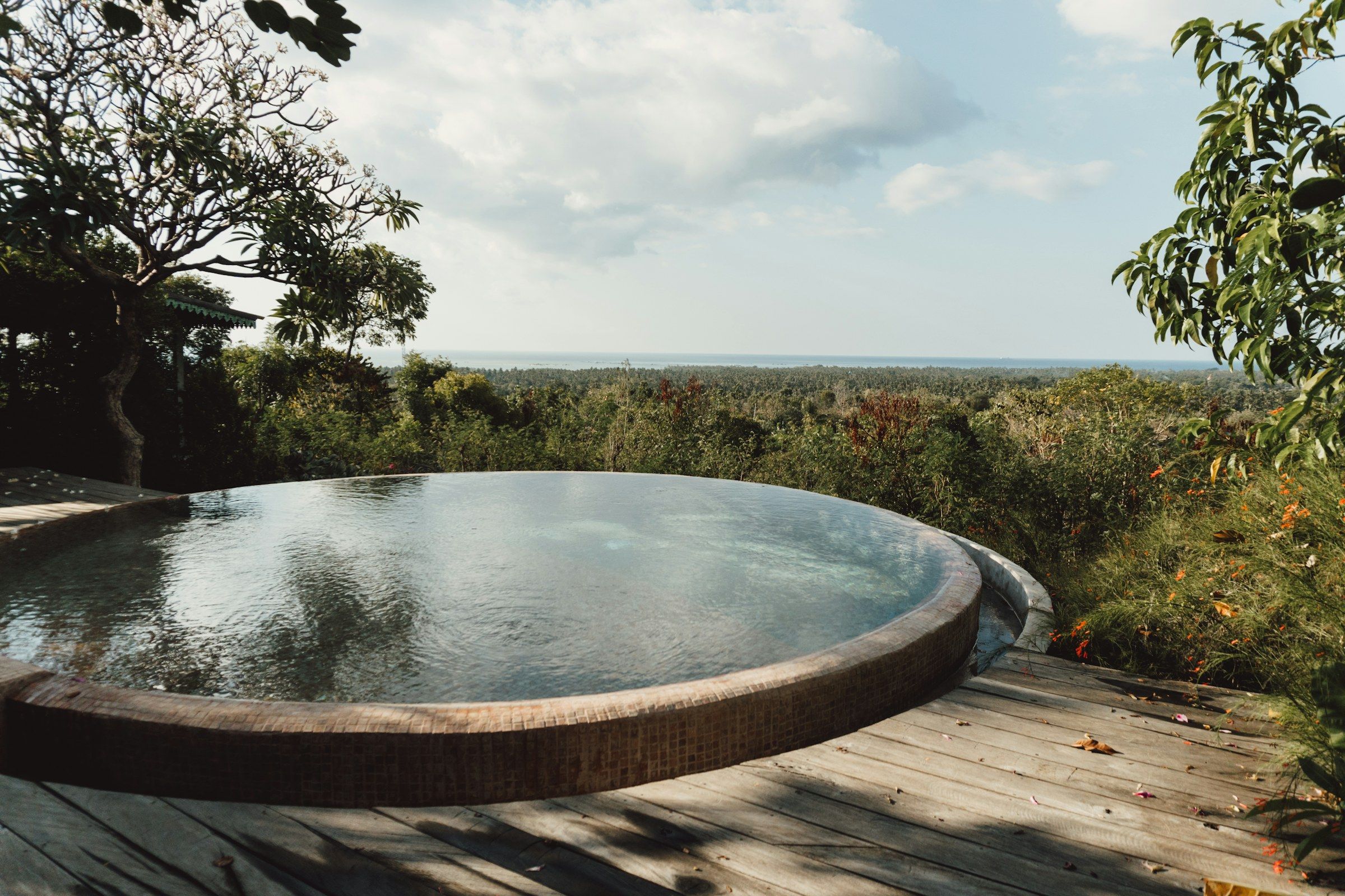 Infinity pool set within dense tropical forest